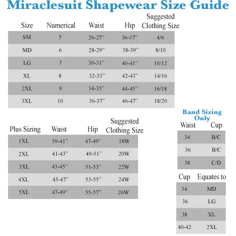 Miraclesuit Shapewear Instant Tummy Tuck 2415 Hi-Waist Shaping Brief