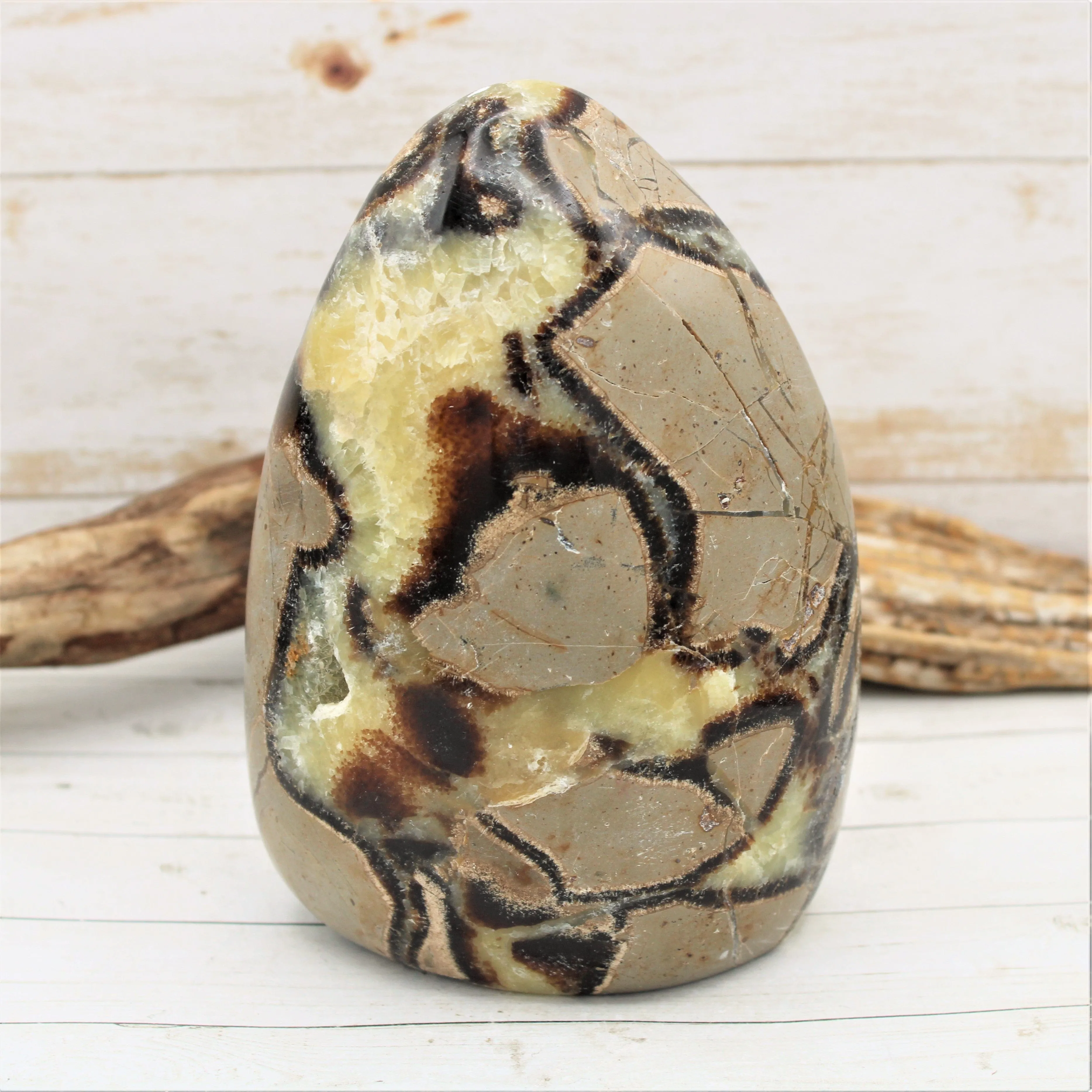 Polished Freestanding Septarian Nodule (Various Sizes)