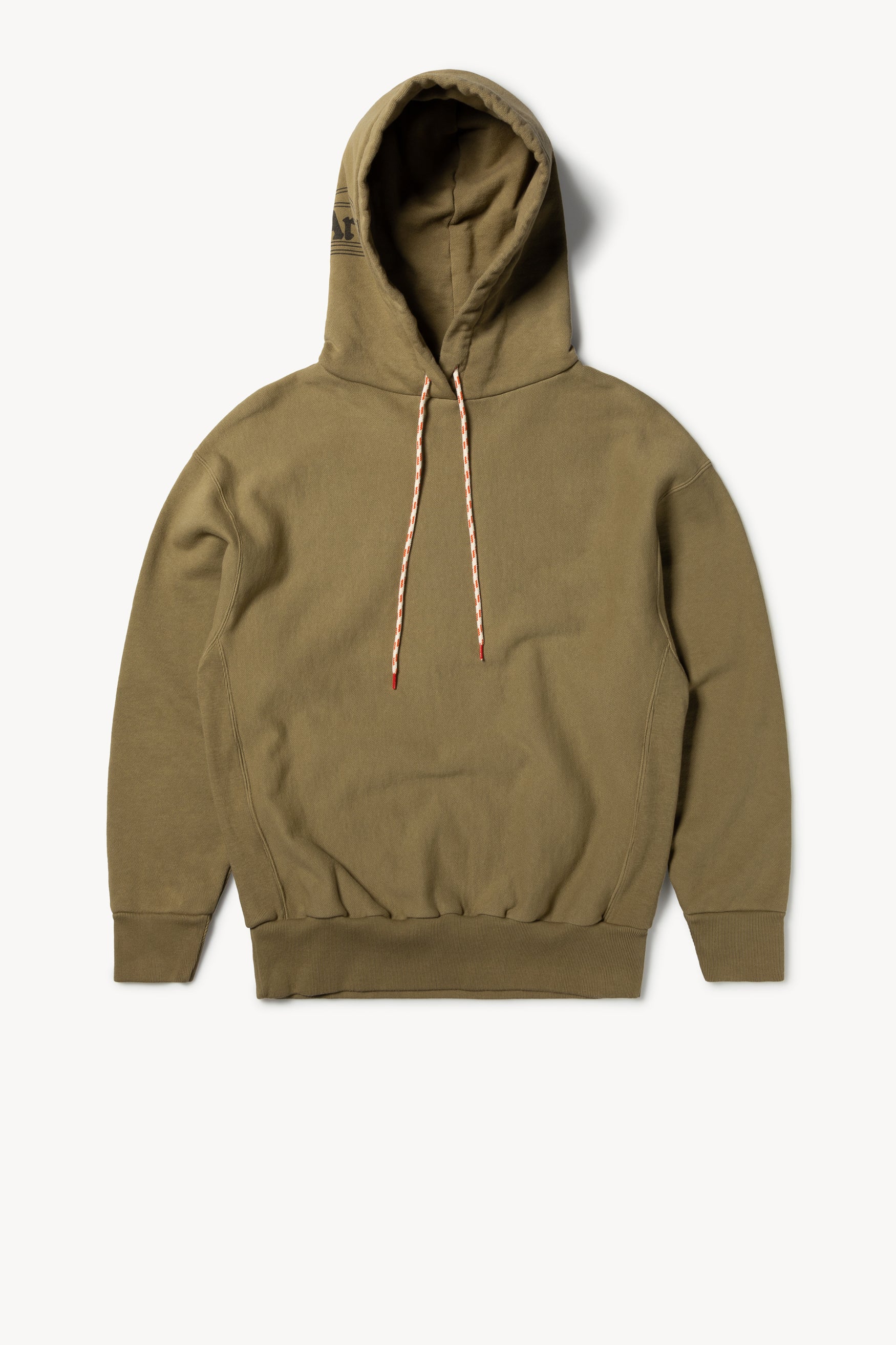 Temple Hood Premium Hoodie