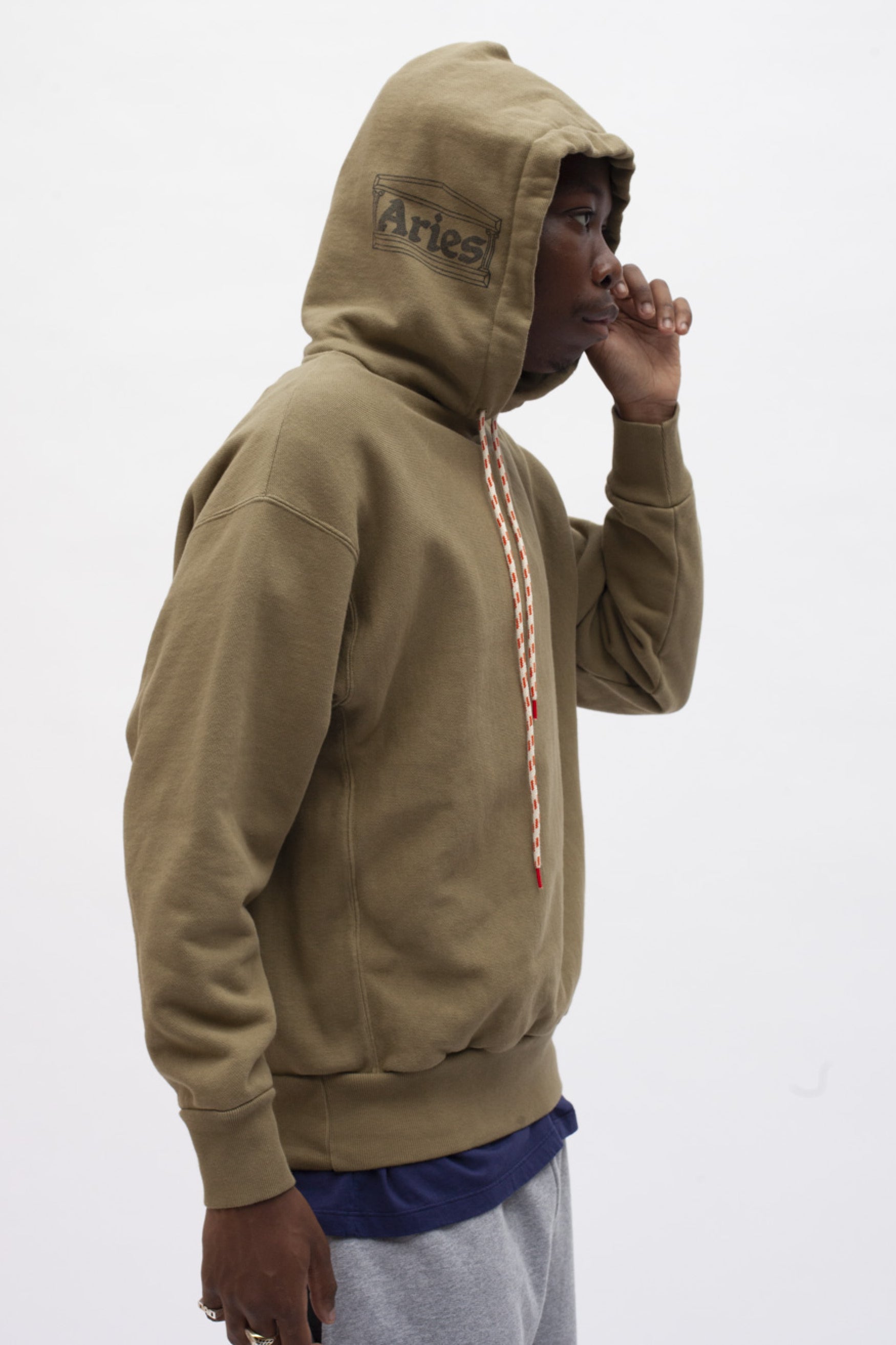 Temple Hood Premium Hoodie